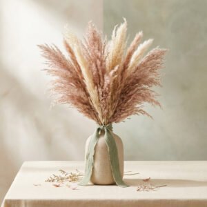 Blush Pampas Bouquet — Bloom Goodies Co.